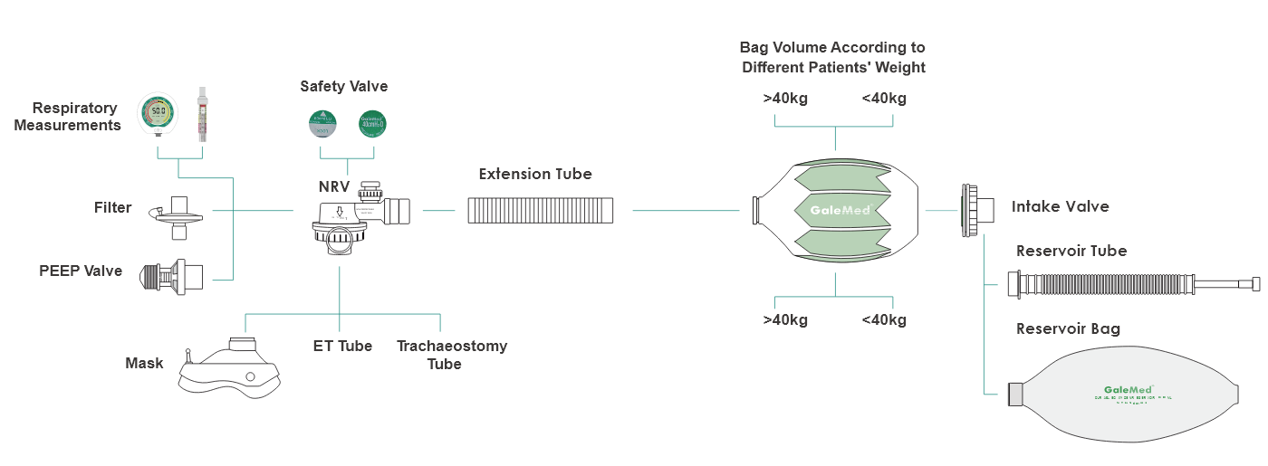 Manual Resuscitator Portfolio
